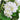 Plantă artificială Hydrangea cu ghiveci, 60 cm, alb