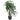 Plantă artificială Arborele norocos cu ghiveci, 85 cm, verde