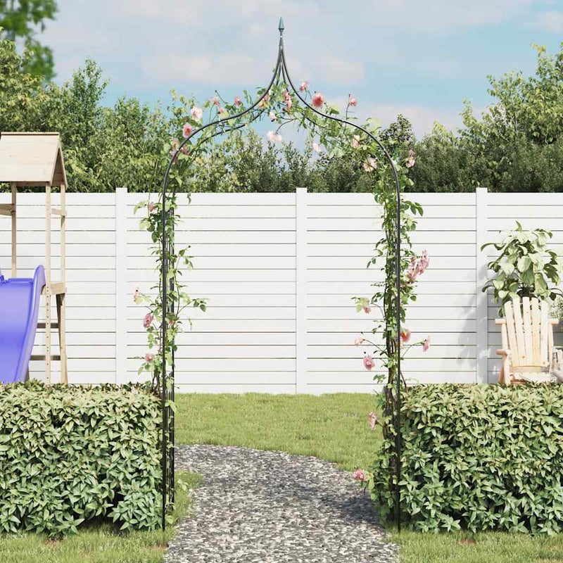 Arcadă de grădină plante cățărătoare vârf ascuţit verde închis