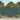 Bandă de intimitate PVC 70x0,19 m Verde