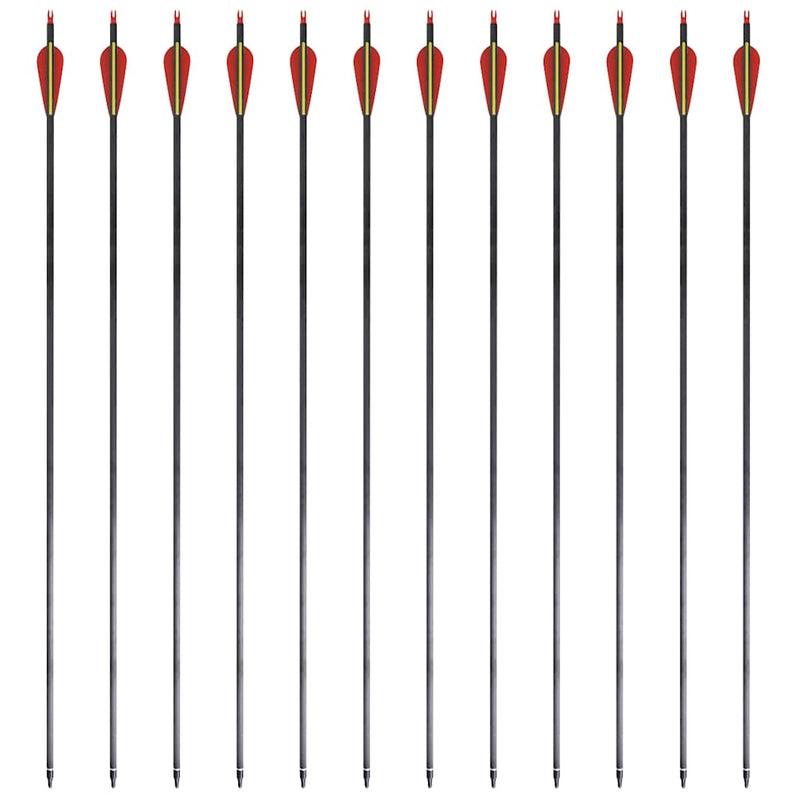 Săgeți standard arc recurv 30" 0,76 cm carbon 12 buc.