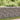 Gabion perete cu capace, 600 x 30 x 100 cm, oțel galvanizat
