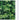 Bandă de intimitate PVC 70x0,19 m Verde
