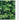 Benzi de intimitate PVC 140x0,19 m Verde