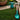 Gazon artificial 1 x 5 m/20 mm, verde