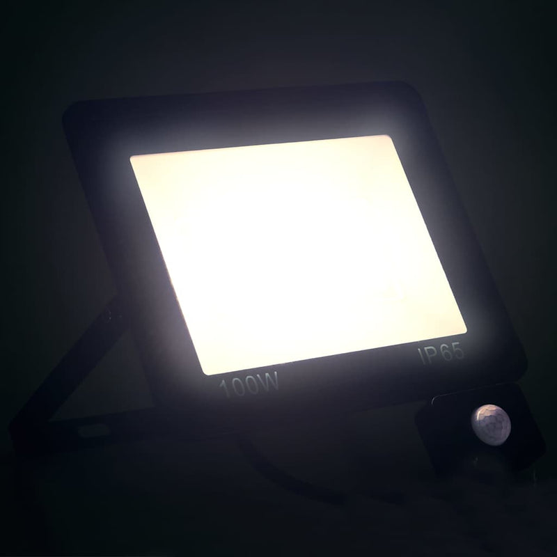 Proiector LED cu senzor, 100 W, alb rece
