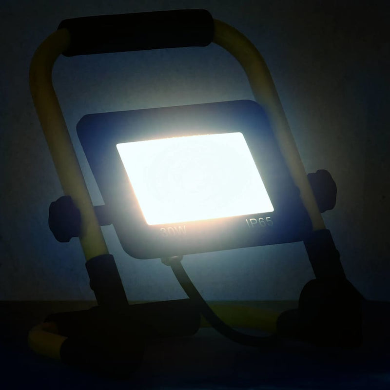 Proiector LED cu mâner, 30 W, alb rece