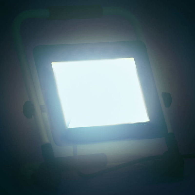 Proiector cu LED și mâner, alb rece, 100 W