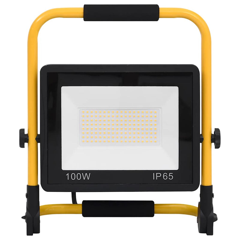 Proiector cu LED și mâner, alb rece, 100 W