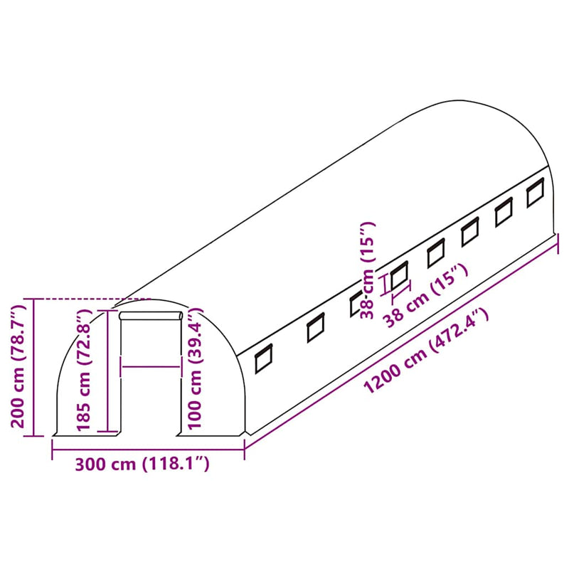 Copertină de rezervă pentru seră (36 m²), transparent, 3x12x2 m