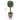 Plante artificiale cimișir cu ghiveci, 2 buc. verde 33 cm minge