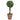 Plante artificiale cimișir cu ghiveci, 2 buc. verde 41 cm minge