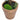 Plante artificiale cimișir cu ghiveci, 2 buc. verde 41 cm minge