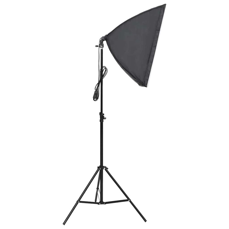 Lumină profesională de studio, 2 buc., 40x60 cm