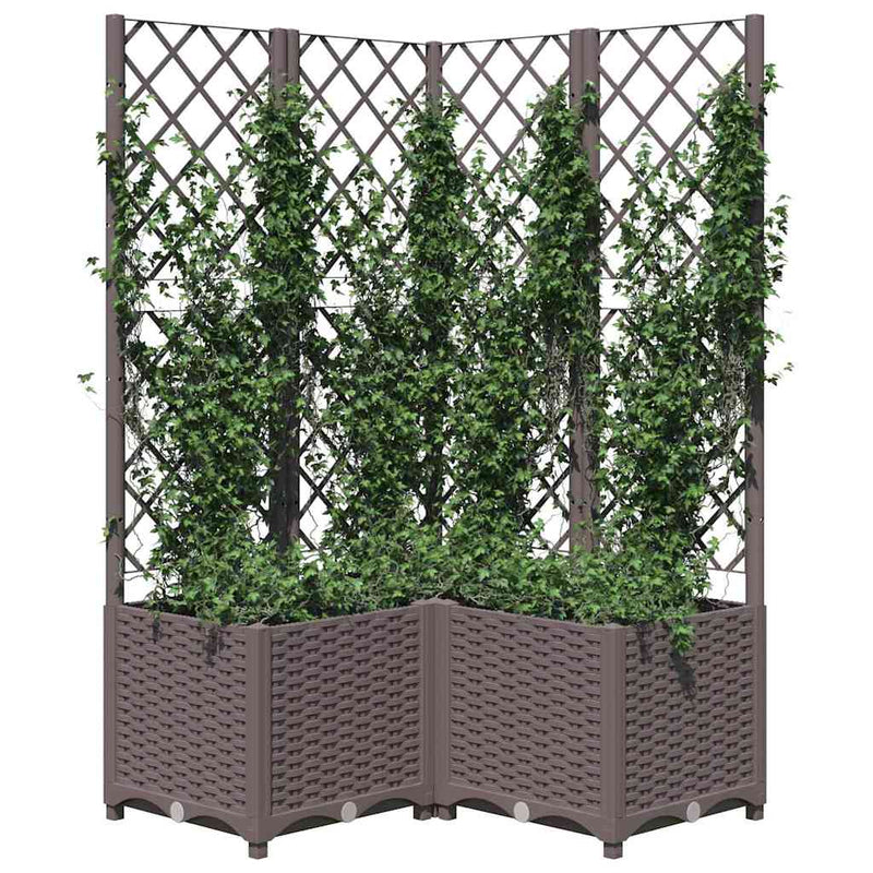 Grădină Maro 80 x 80 x 136 cm