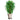 Cărucioare de plante cu roți 5 buc. negru diametru 40 cm 275 kg