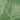Perne de spate 6 buc. Material Oxford Design cu frunze