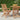 Scaune pliante 2 buc 56x63x90 cm lemn masiv de tec