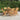 Scaune pliante 6 buc 47x62x90 cm lemn masiv de tec