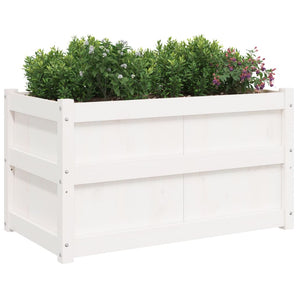 Jardiniere de grădină, 2 buc., alb, lemn masiv de pin