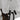 Huse de plante din fleece cu fermoar 2 buc 70 g/m² 3,93x3,5 m
