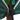 Huse pentru plante din fleece cu fermoar 2 buc 70 g/m² 2,36x2 m