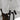 Huse de plante din fleece cu fermoar 4 buc. 70 g/m² 3,14x2,5 m