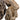 Pietre dragon, 10 kg, gri, 10-40 cm