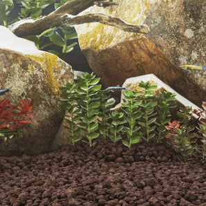 Roci vulcanice, 25 kg, roșu, 5-8 cm