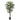 Arbore de arțar artificial 504 de frunze 150 cm verde