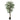 Arbore de arțar artificial 756 de frunze 200 cm verde