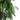 Arbore de mango artificial 450 de frunze 120 cm verde