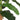 Bananier artificial 19 frunze 180 cm verde