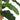 Bananier artificial 22 frunze 200 cm verde