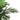 Palmier artificial 18 frunze 80 cm verde