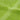 Prosoape de mâini premium SOLUND 10 buc. verde 50x100cm 600 gsm