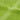 Prosoape de duș premium SOLUND 10 buc. verde 70x140 cm 600 gsm
