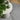 Covor IZA aspect scandinav, cu fire scurte, gri, Ø 100 cm