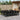 Set mobilier de exterior cu perne, 11 piese, negru, poliratan