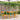 Set mobilier de balcon, 3 piese, lemn masiv de acacia