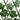 Spalier frunze struguri false extensibil 5 buc verde 180x60 cm