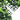 Gard din frunze artificiale, 6 buc., verde, 40x60 cm
