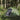 Cort de camping pentru 3 persoane, verde, impermeabil