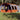 Cort de familie tunel pentru 8 persoane, gri, impermeabil