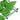 Paravan intimitate de balcon din frunze verde 600x75 cm