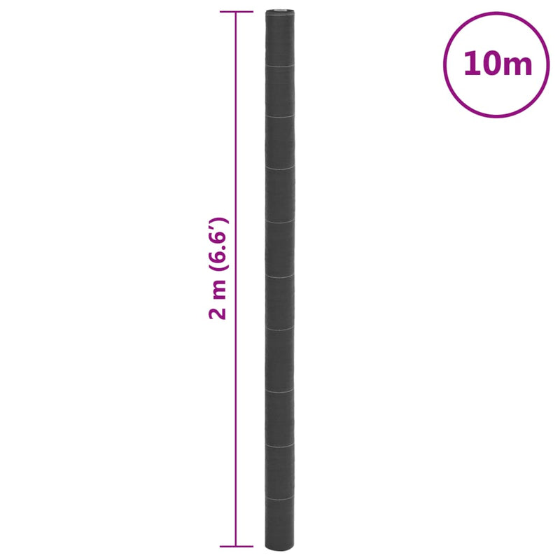 Membrană antiburuieni, negru, 2x10 m, PP