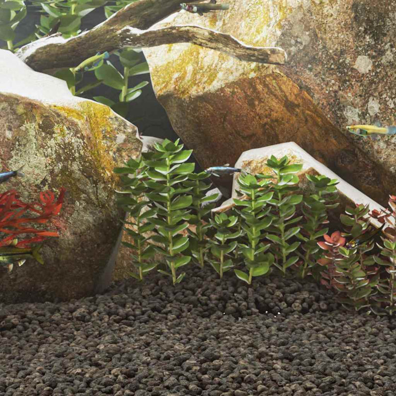Roci vulcanice, 10 kg, negru, 1-2 cm