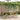 Set mobilier bistro, 3 piese, textil antracit/lemn masiv