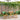 Set mobilier bistro, 3 piese, textil model frunze/lemn masiv