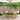 Set mobilier de grădină 5 piese textil alb crem/lemn masiv